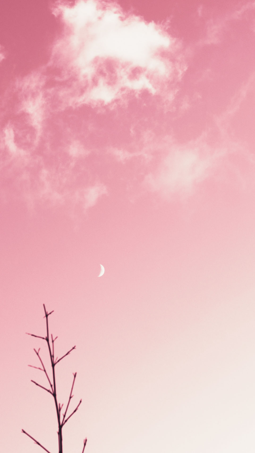 Wallpaper pink sky